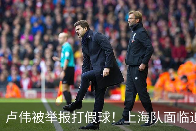 卢伟被举报打假球！上海队面临追罚，张镇麟坑惨球队