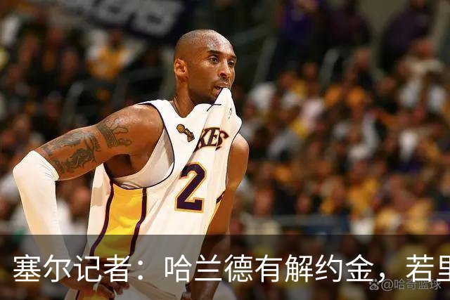 塞尔记者：哈兰德有解约金，若里克尔梅与他达成协议，挖走他不难